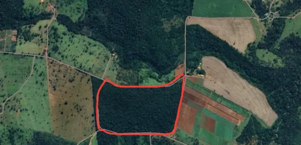 Fazenda/Sítio à venda, 43562m² no , Terezópolis de Goiás