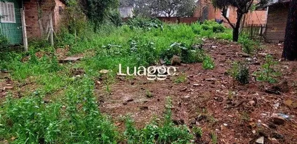 Lote/Terreno à venda, 428m² no Liberdade, Esteio