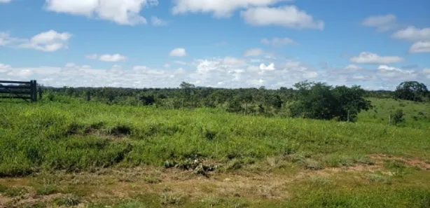 Fazenda/Sítio à venda no , Padre Bernardo