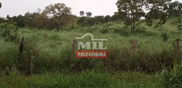 Fazenda/Sítio à venda, 484000m² no , Jaraguá