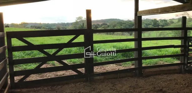 Fazenda/Sítio à venda, 48400m² no , Leopoldo de Bulhões