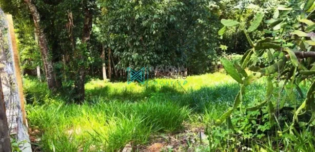 Lote/Terreno à venda, 1000m² no Anel, Lagoa Santa