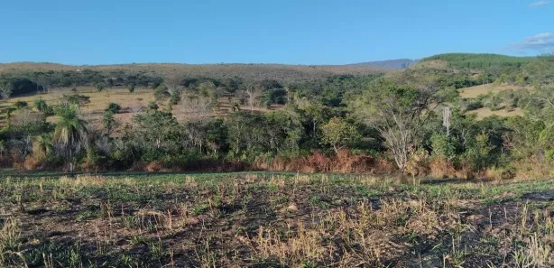 Fazenda/Sítio com 3 Quartos à venda, 180m² no Centro, Santana do Riacho