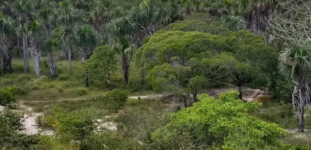 Lote/Terreno à venda, 1010000m² no , Santo Amaro do Maranhão