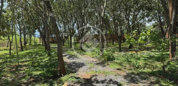 Lote/Terreno à venda, 12187m² no Residencial Santa Efigênia, Goiânia
