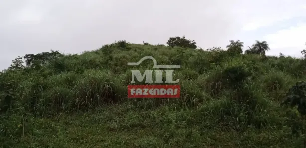 Fazenda/Sítio à venda, 484000m² no , Jaraguá