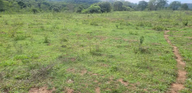 Fazenda/Sítio à venda, 5808000m² no , Padre Bernardo