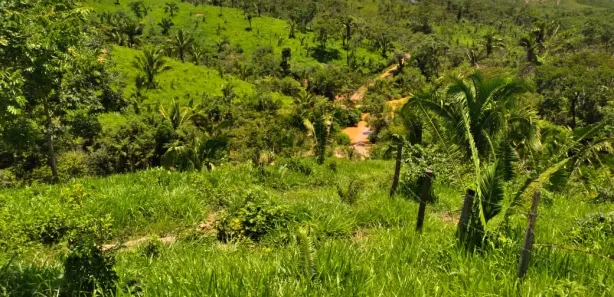 Fazenda/Sítio com 3 Quartos à venda, 3000000m² no , Padre Bernardo