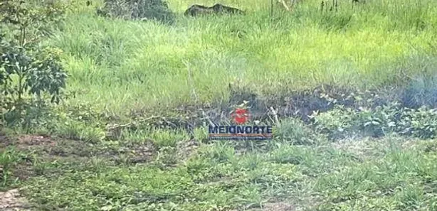 Fazenda/Sítio com 1 Quarto à venda, 2260000m² no , Itapecuru Mirim