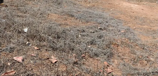 Lote/Terreno à venda, 432m² no Juliana, Belo Horizonte
