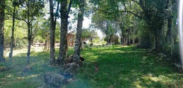 Fazenda/Sítio à venda, 170m² no Morro da Laje, Caraá