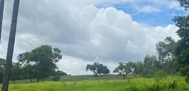 Fazenda/Sítio com 5 Quartos à venda, 35m² no , Silvânia