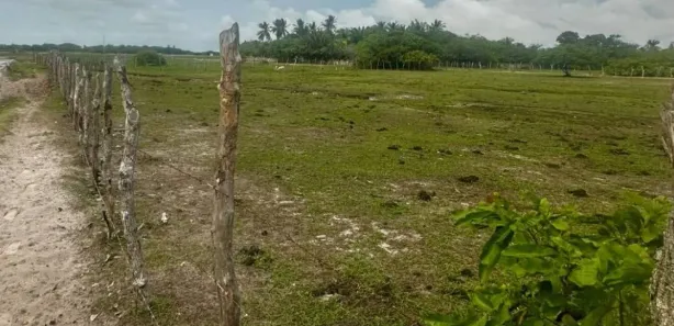 Lote/Terreno à venda, 4460m² no , Santo Amaro do Maranhão