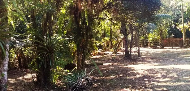 Fazenda/Sítio com 1 Quarto à venda, 12900m² no , Antonina