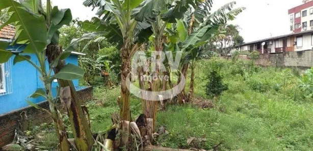 Lote/Terreno à venda, 1625m² no Ponta Porã, Cachoeirinha