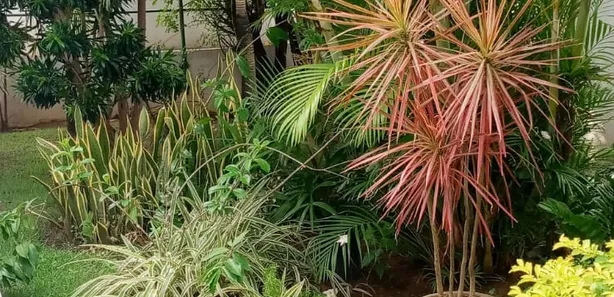 Apartamento com 1 Quarto à venda, 48m² no Pituba, Salvador