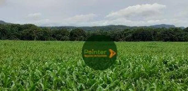 Fazenda/Sítio à venda, 1113200m² no , Jaraguá
