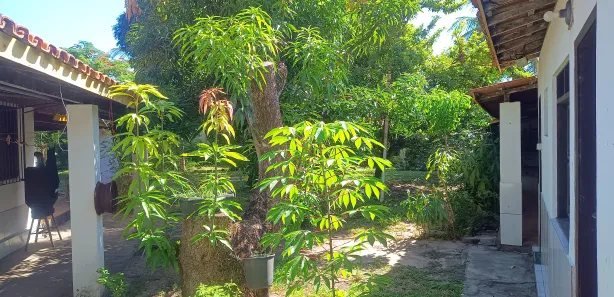 Casa com 5 Quartos à venda, 200m² no , Vera Cruz