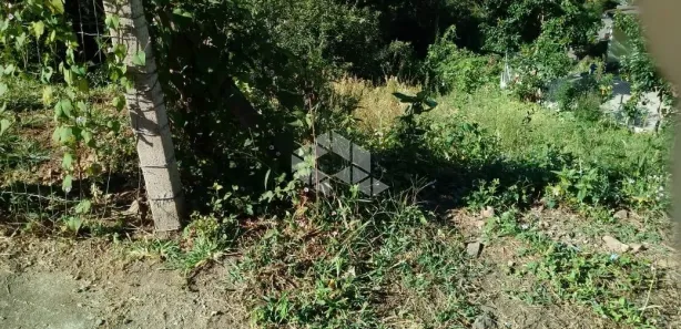 Lote/Terreno à venda, 611m² no São Roque, Bento Gonçalves