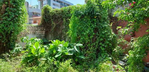 Lote/Terreno à venda, 720m² no Candeias, Jaboatão dos Guararapes