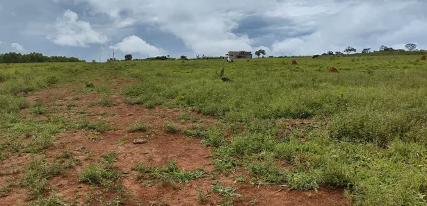 Fazenda/Sítio à venda, 2000m² no , Leopoldo de Bulhões