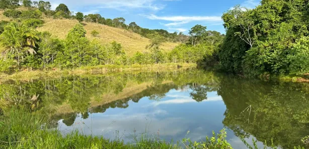 Fazenda/Sítio à venda, 7500000m² no Trevo do José Rosário, Leopoldo de Bulhões