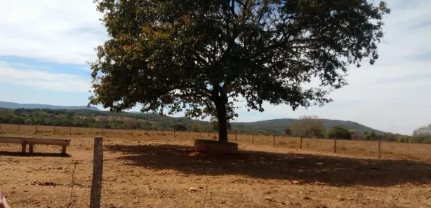 Fazenda/Sítio com 1 Quarto à venda, 400m² no , Jaraguá