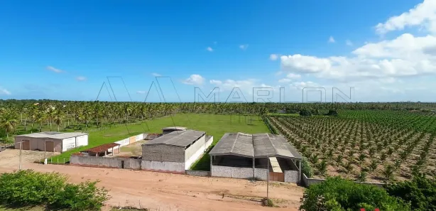 Lote/Terreno para alugar, 20000m² no , São José de Mipibu