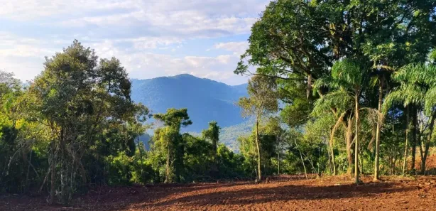 Lote/Terreno à venda, 23196m² no , Nova Petrópolis