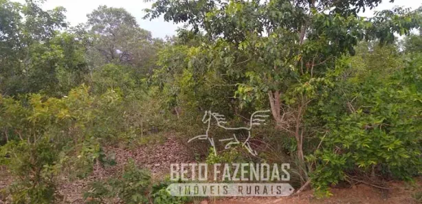 Fazenda/Sítio à venda, 208370000m² no , Urbano Santos
