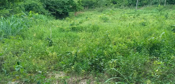 Fazenda/Sítio com 1 Quarto à venda, 20000m² no Serra do Cipó, Santana do Riacho