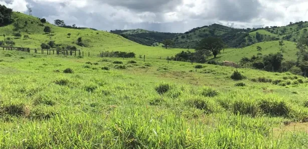 Fazenda/Sítio à venda, 10164000m² no , São Luiz do Norte