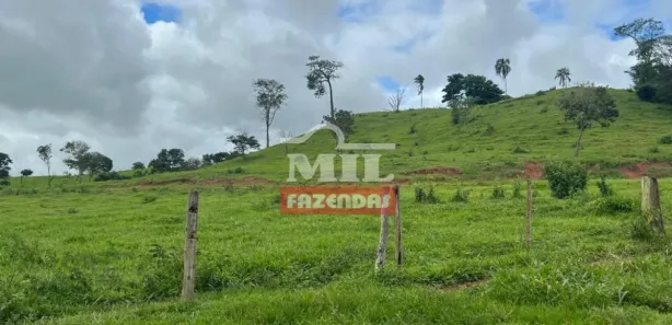 Fazenda/Sítio à venda, 20000m² no Vila Mutirão, Inhumas