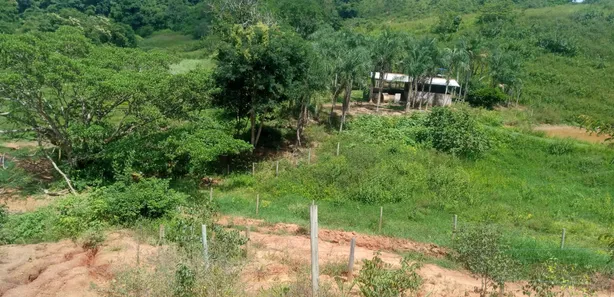 Fazenda/Sítio com 2 Quartos à venda, 4140000m² no , Padre Bernardo