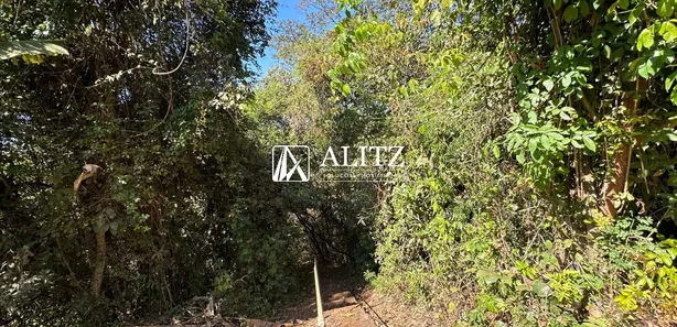 Fazenda/Sítio com 4 Quartos à venda, 20000m² no , Nerópolis