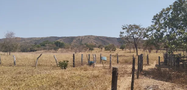 Fazenda/Sítio à venda no , Buritis