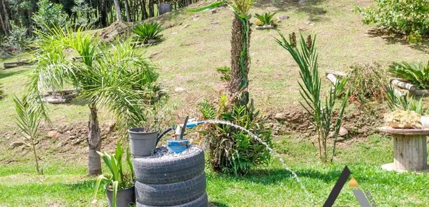Fazenda/Sítio com 2 Quartos à venda, 270m² no Área Rural de Farroupilha, Farroupilha