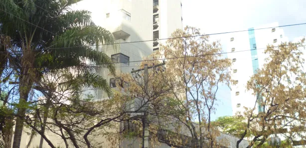 Sala Comercial para alugar, 29m² no Anchieta, Belo Horizonte