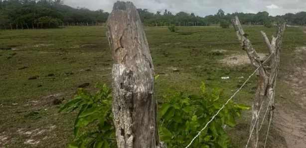 Lote/Terreno à venda, 4460m² no , Santo Amaro do Maranhão