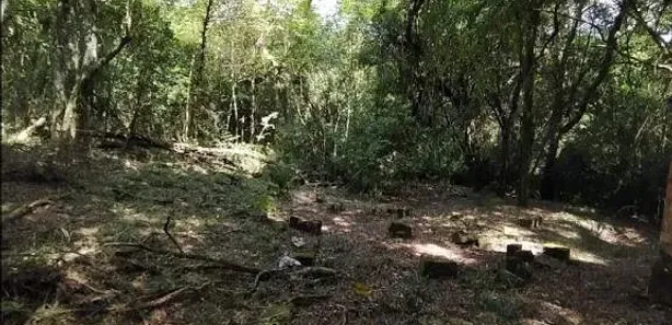 Lote/Terreno à venda, 4690m² no Viamópolis, Viamão