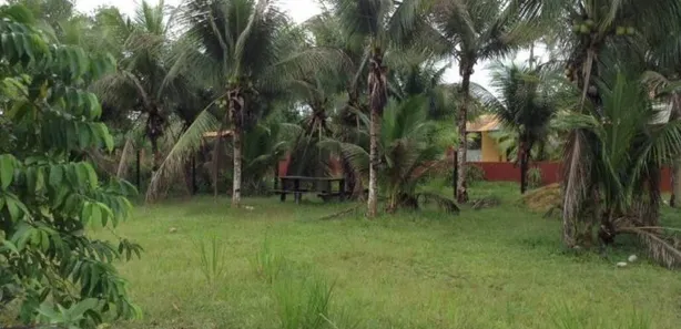 Lote/Terreno à venda no , Rio Preto da Eva