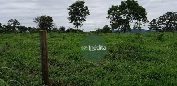 Fazenda/Sítio à venda, 484000m² no , Bonfinópolis