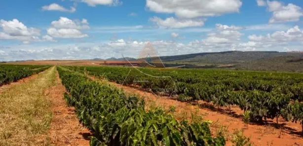 Fazenda/Sítio com 11 Quartos à venda, 29290000m² no Zona Rural, 