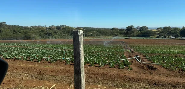 Fazenda/Sítio com 3 Quartos à venda, 532400m² no , Goianápolis