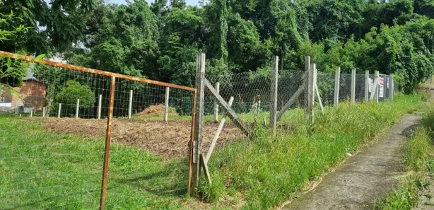Lote/Terreno à venda, 999m² no Cruzeiro, Caxias do Sul