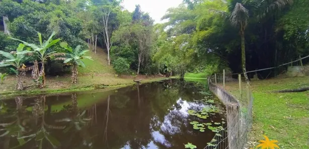 Fazenda/Sítio com 3 Quartos à venda, 350m² no Retiro (Bacaxá), Saquarema