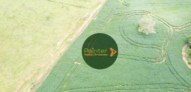 Fazenda/Sítio à venda, 701800m² no , Jaraguá