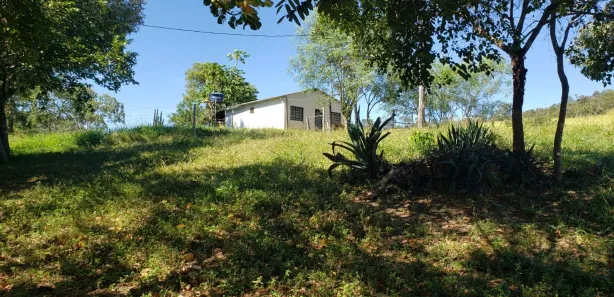Fazenda/Sítio com 4 Quartos à venda, 550000m² no Padre Bernardo, Padre Bernardo