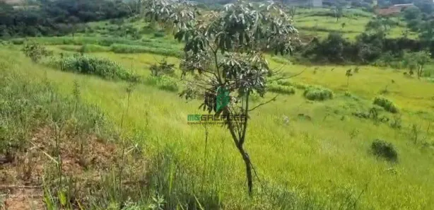Lote/Terreno para alugar, 5000m² no Cidade Verde, Betim