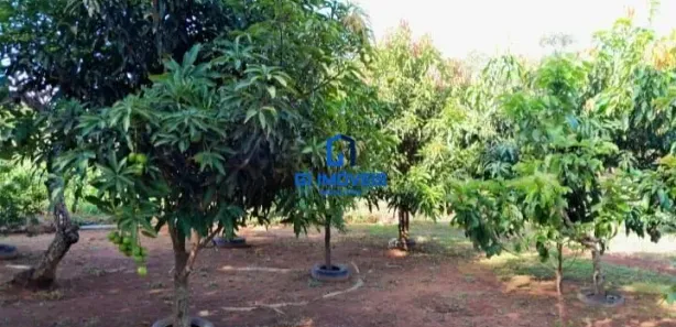 Fazenda/Sítio com 3 Quartos à venda, 160m² no , Leopoldo de Bulhões